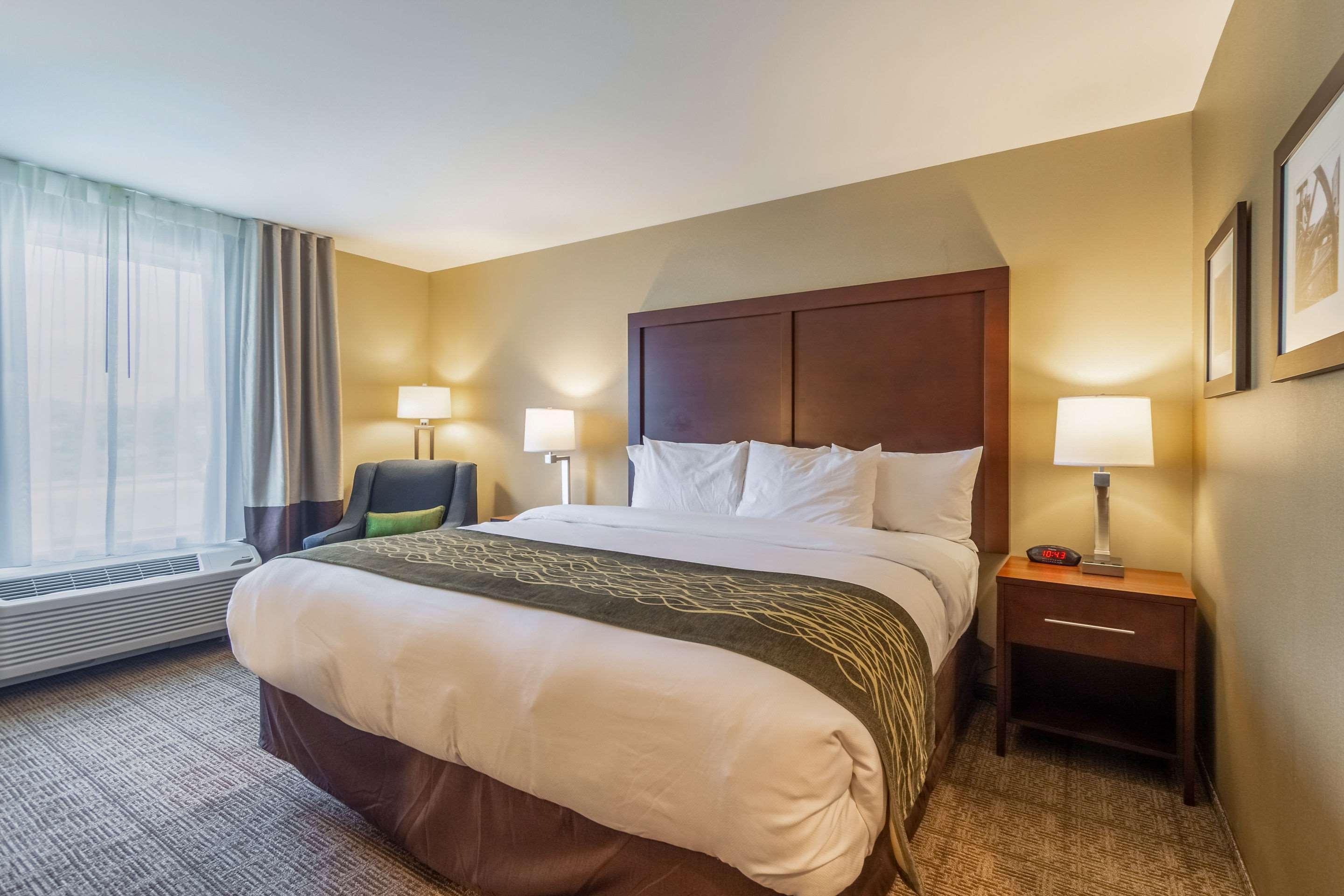 Comfort Inn & Suites - Harrisburg Airport - Hershey South Middletown  Exteriér fotografie